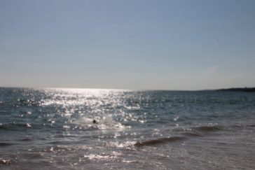 falesia beach vakantie algarve portugal IMG_8076