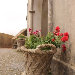 kasteel sintra bloemen vakantie portugal